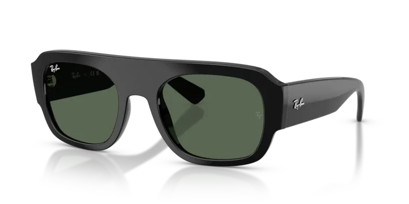Ray-Ban RB2218 667771 Black Sunglasses