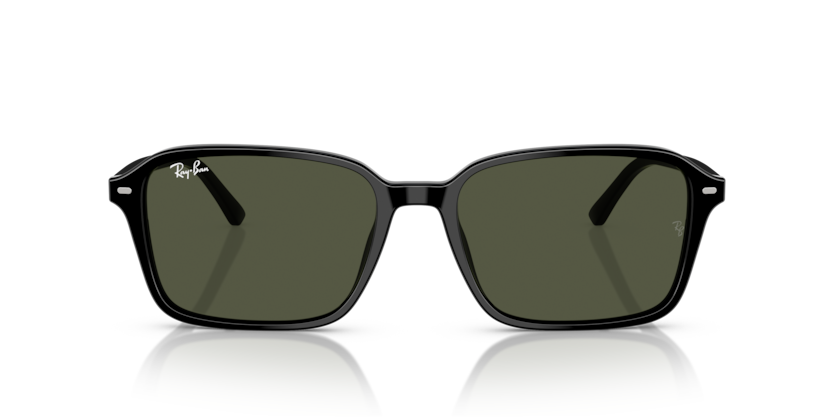 Occhiali da sole Ray-Ban RB2231 Raimond 901/31 Nero