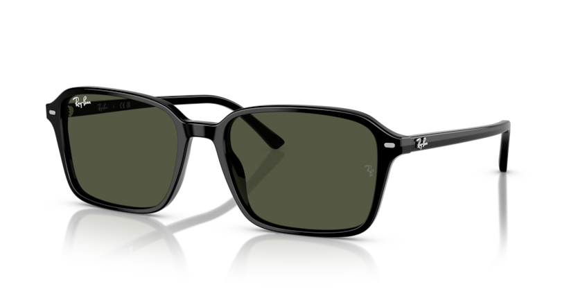Occhiali da sole Ray-Ban RB2231 Raimond 901/31 Nero