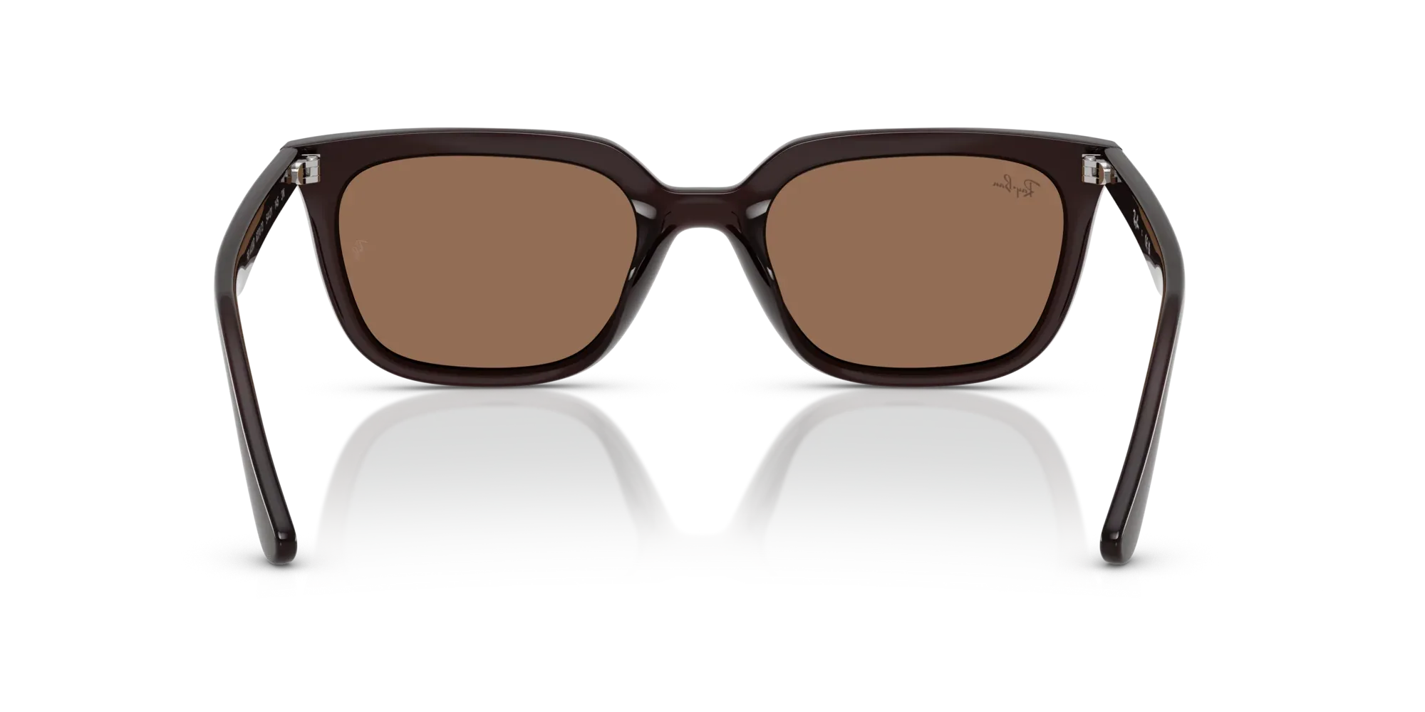 Occhiali da sole Ray-Ban RB4439D 623173 Marrone opale - Pistilleria