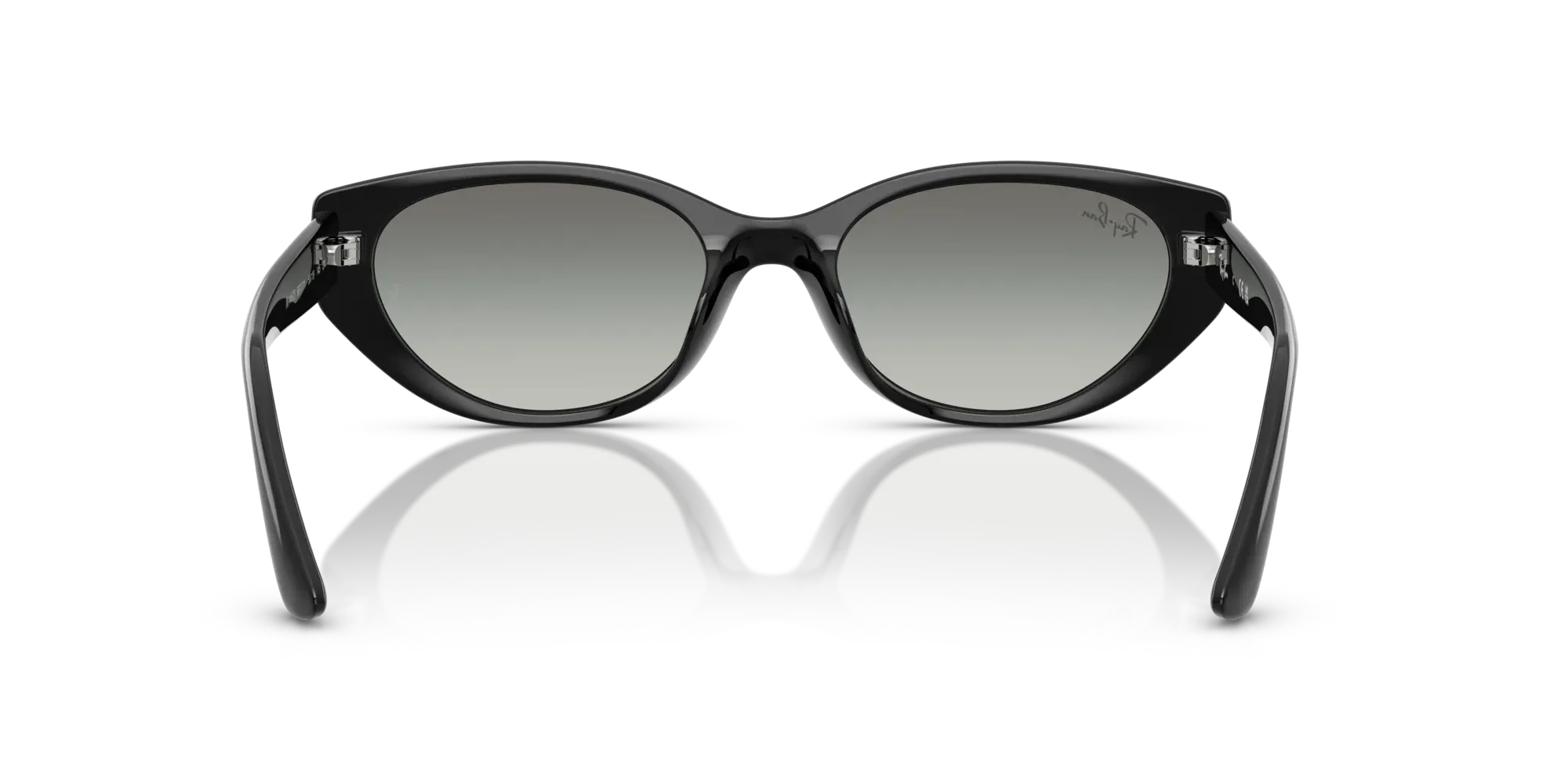 Occhiali da sole Ray-Ban RB4457D 6677/11 - Pistilleria