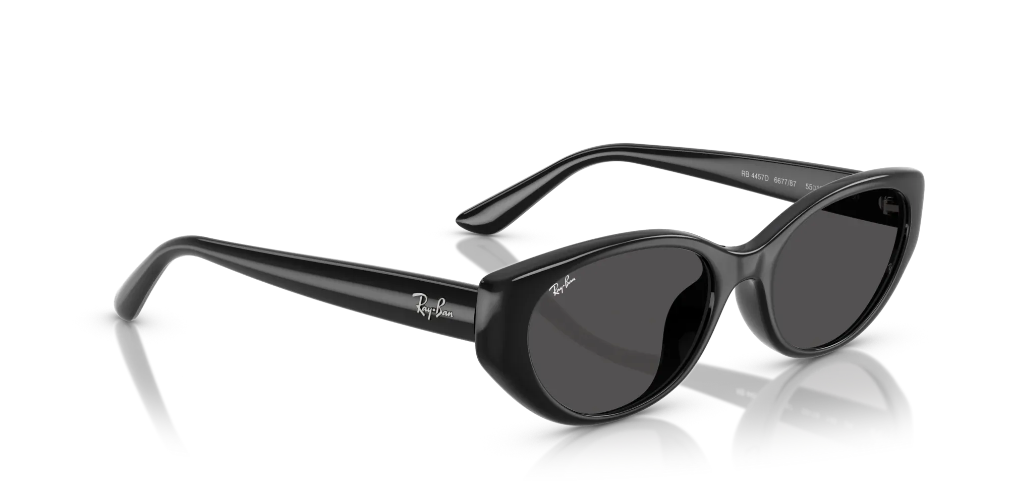 Occhiali da sole Ray-Ban RB4457D 667787 Nero - Pistilleria