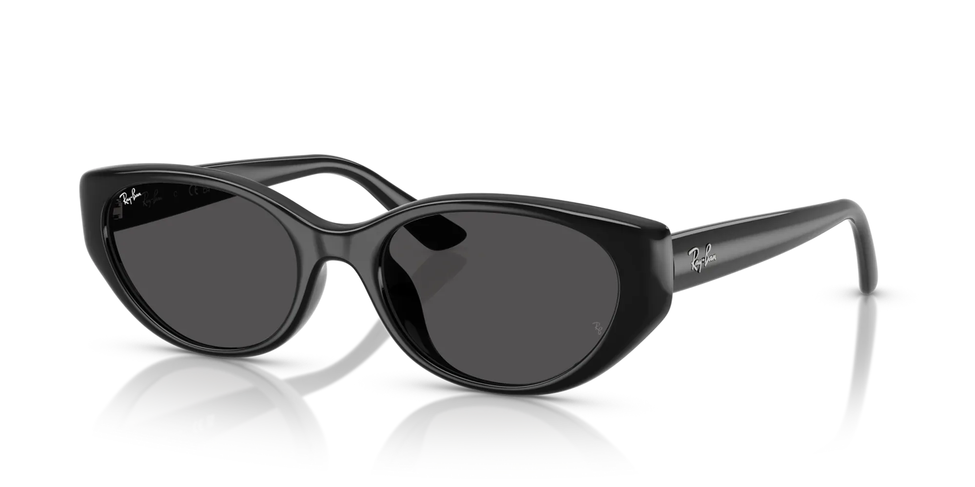 Occhiali da sole Ray-Ban RB4457D 667787 Nero - Pistilleria