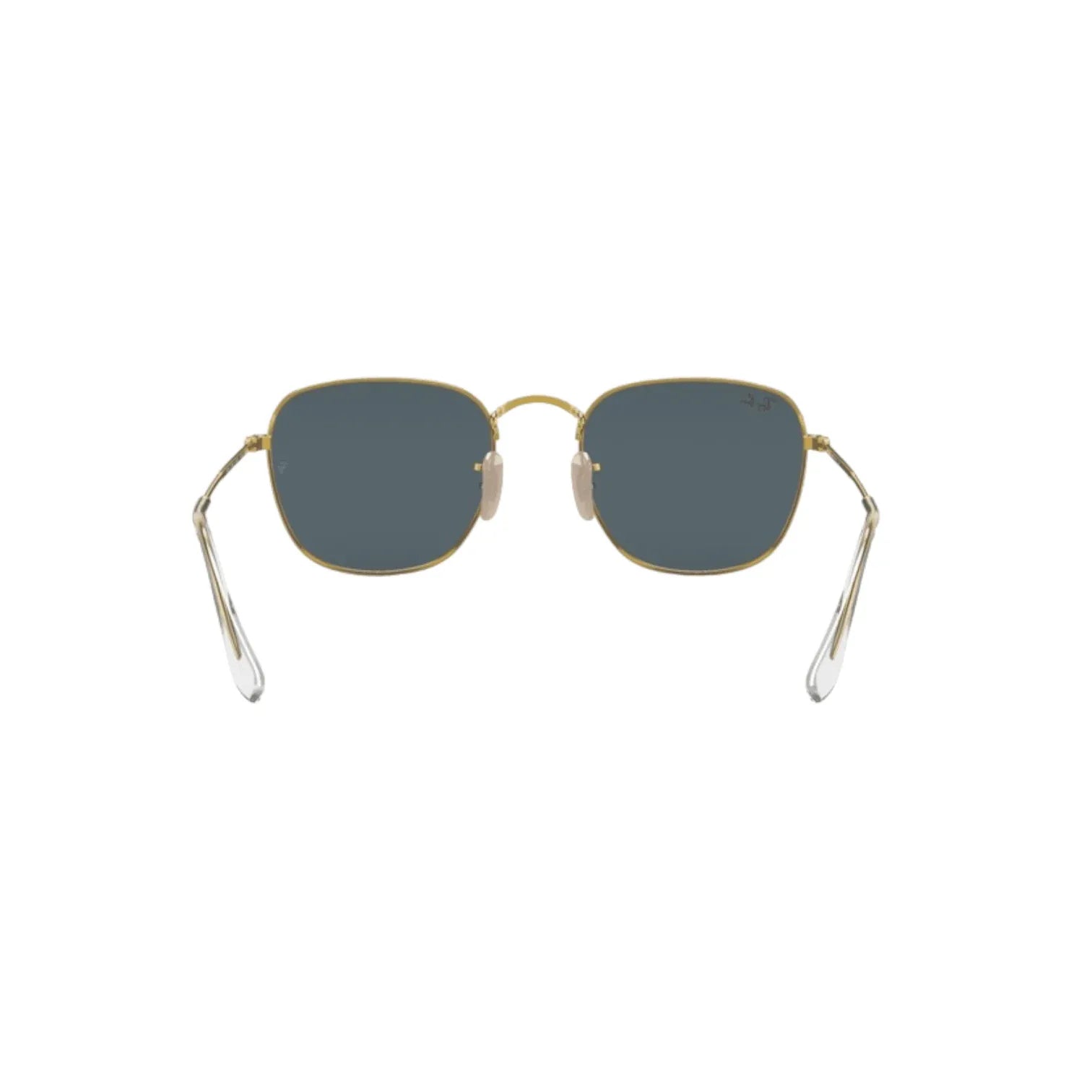 Ray-Ban Frank RB38579196R5 - Pistilleria