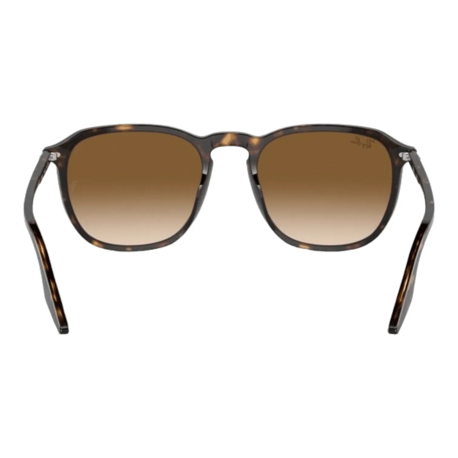 Ray-Ban RB2203- 902/51 - Pistilleria