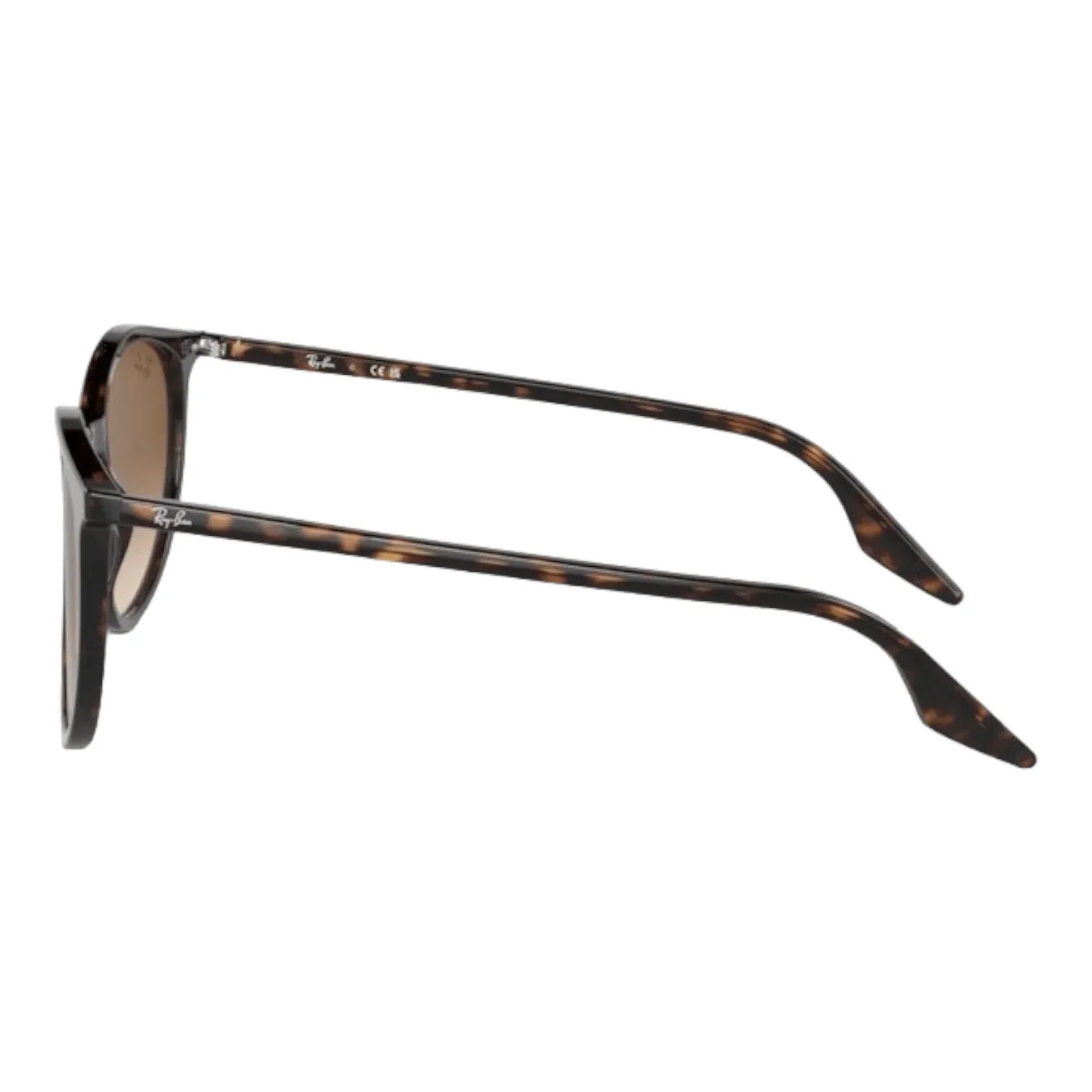 Ray-Ban RB2204 - 902/51 - Pistilleria