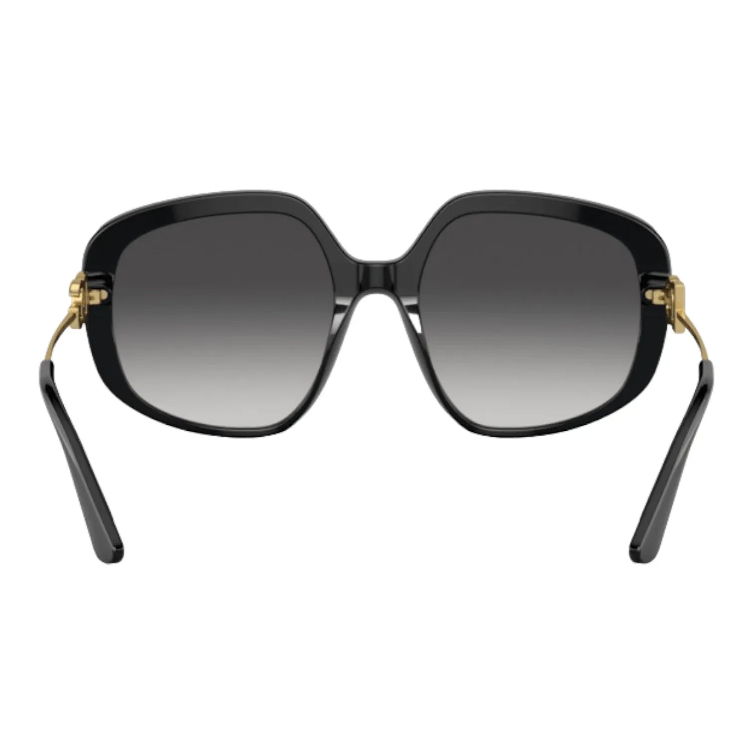 Dolce Gabbana DG4421-501/8G - Pistilleria