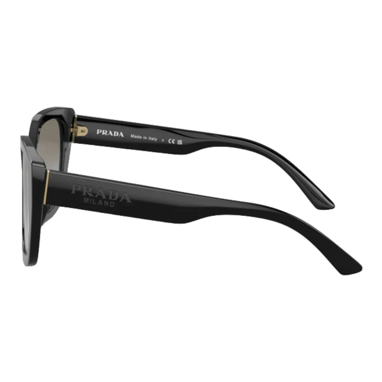 Prada Eyewear PR 24XS- 1AB0A7 - Pistilleria