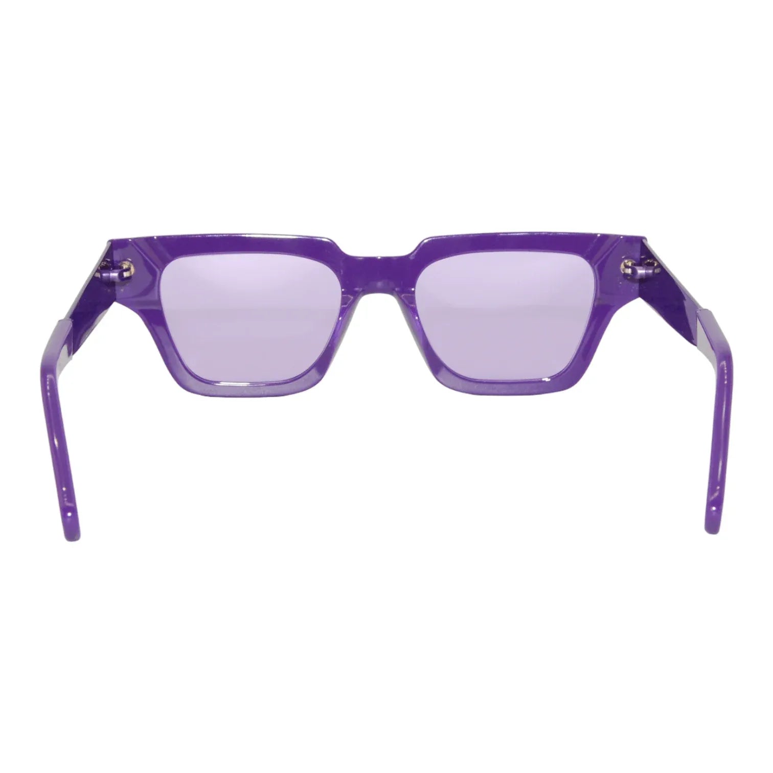 Retrosuperfuture Storia Francis Purple-G02 - Pistilleria