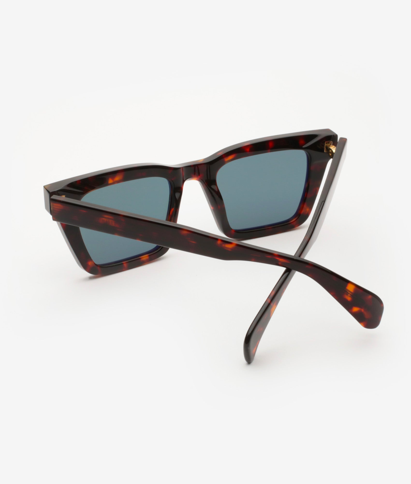 Occhiali da sole unisex Gast Zyron Classic Havana
