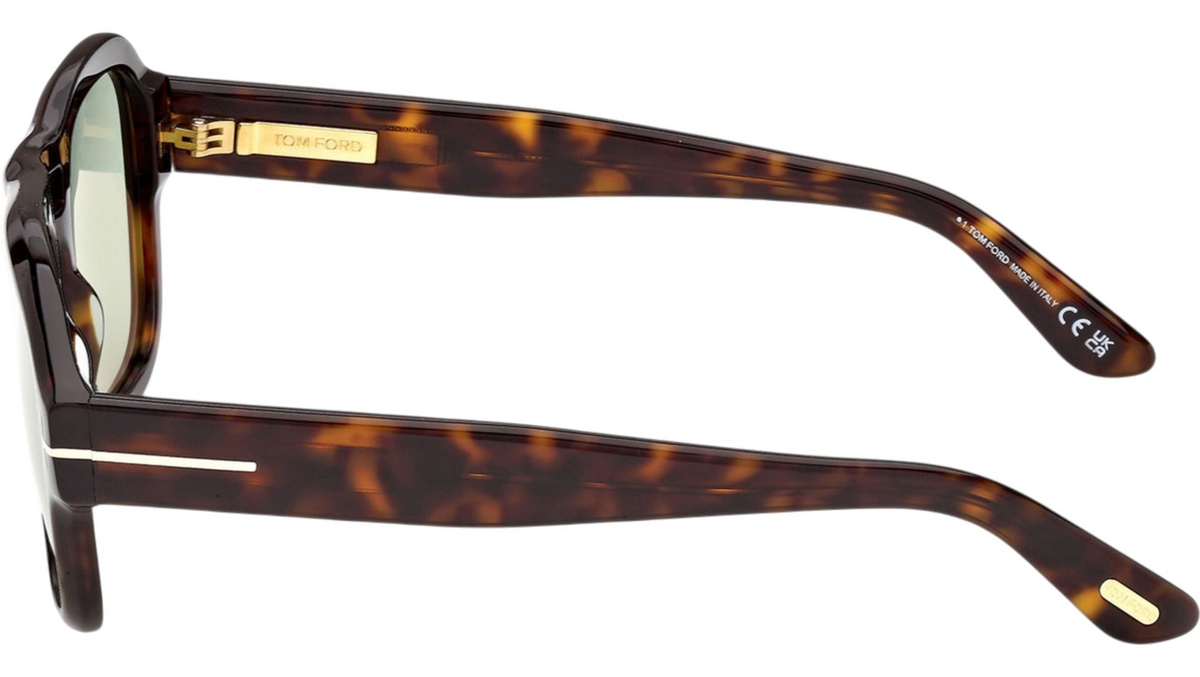 Occhiali da sole Tom Ford Mason-02 FT1484 52N