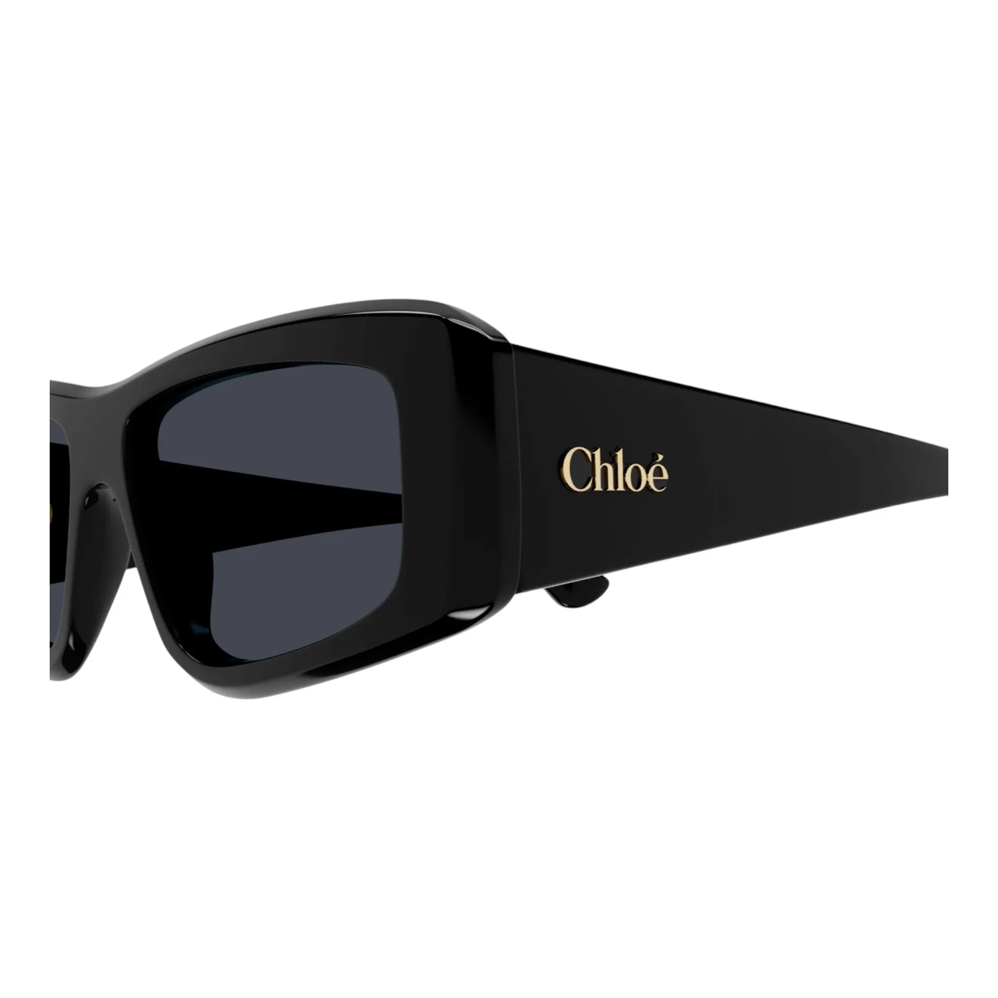 Occhiali da sole Chloè CH0299S 001 lo - Pistilleria