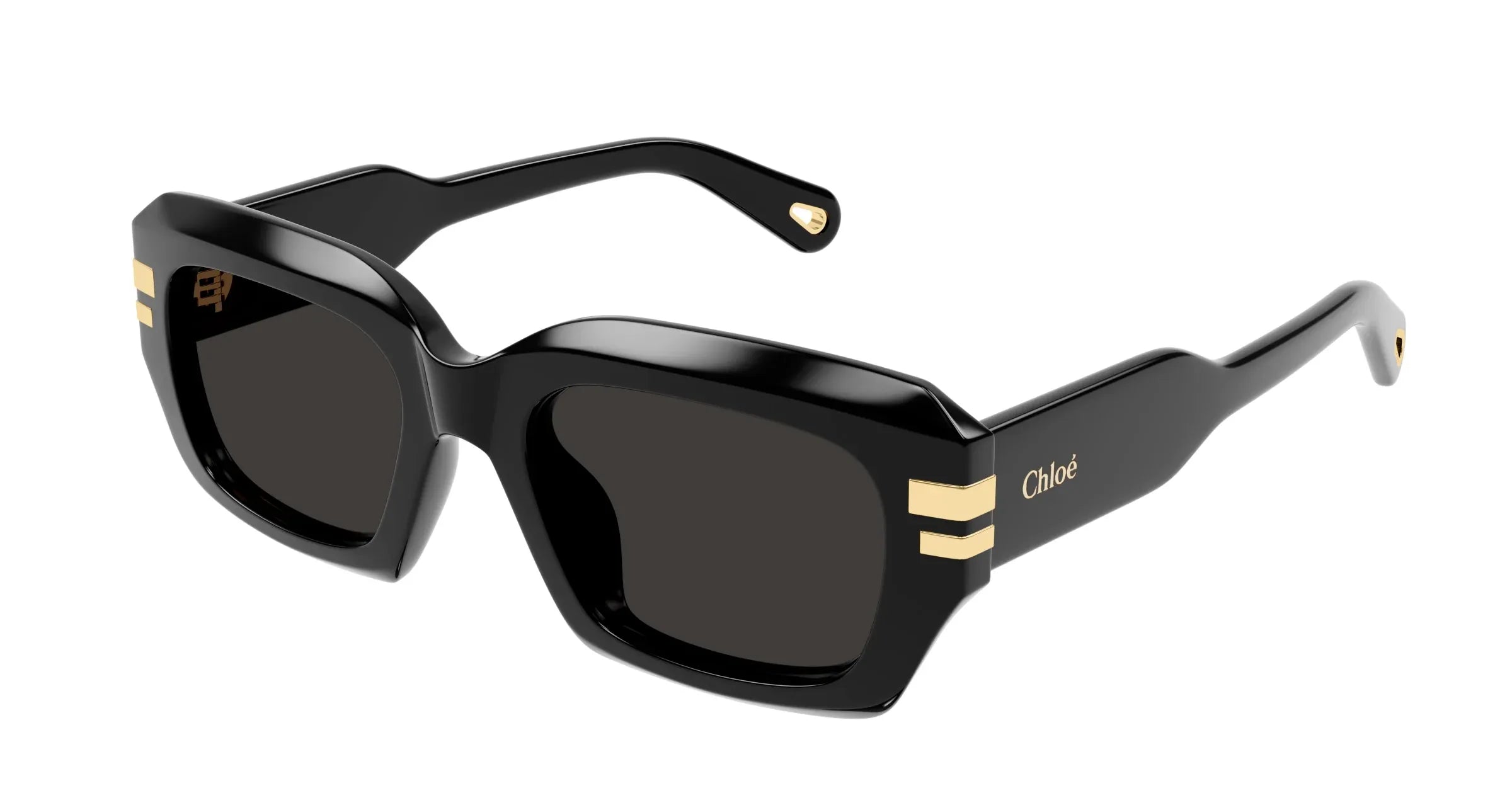 Occhiali da sole da donna Chloé CH0256S-001 - Pistilleria