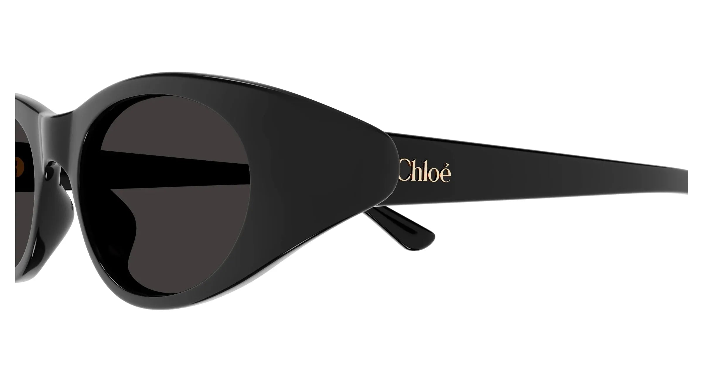Occhiali da sole da donna Chloé CH0279S 001 - Pistilleria