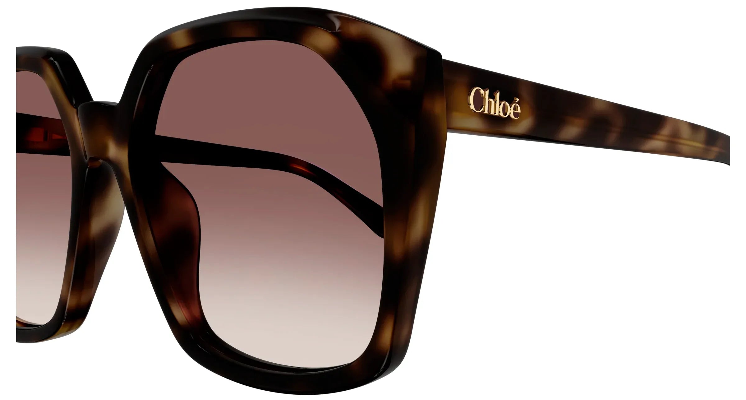 Occhiali da sole da donna Chloé CH0280S-006 - Pistilleria