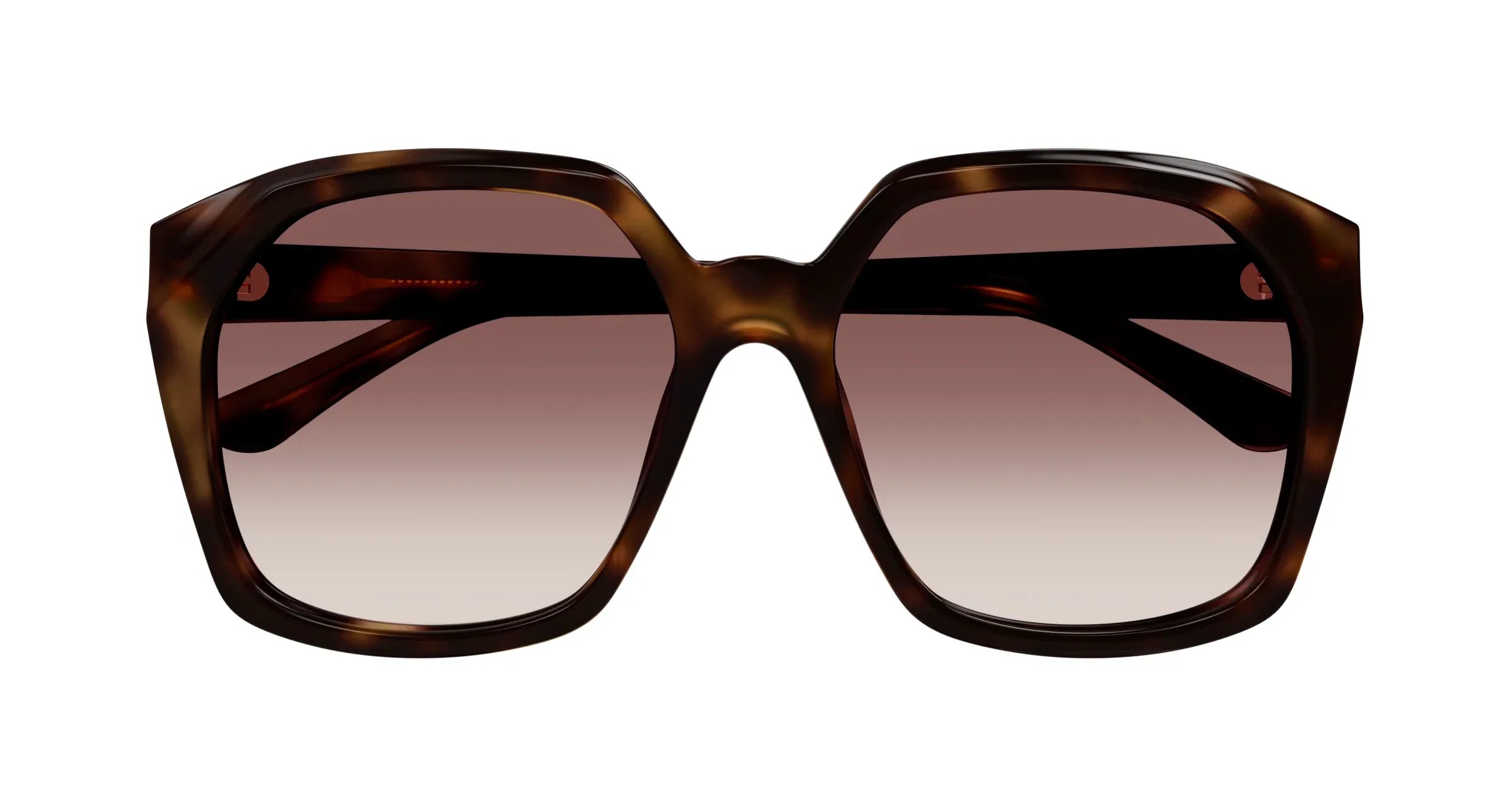 Occhiali da sole da donna Chloé CH0280S-006 - Pistilleria