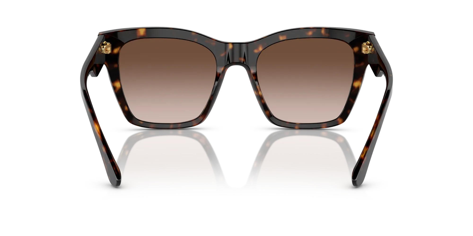 Occhiali da sole da donna Dolce & Gabbana DG4384 502/13 Havana - Pistilleria