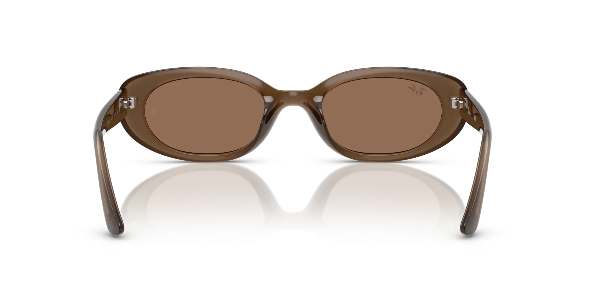 Occhiali da sole da donna Ray-Ban RB4441D 677973 - Marrone opale - Pistilleria