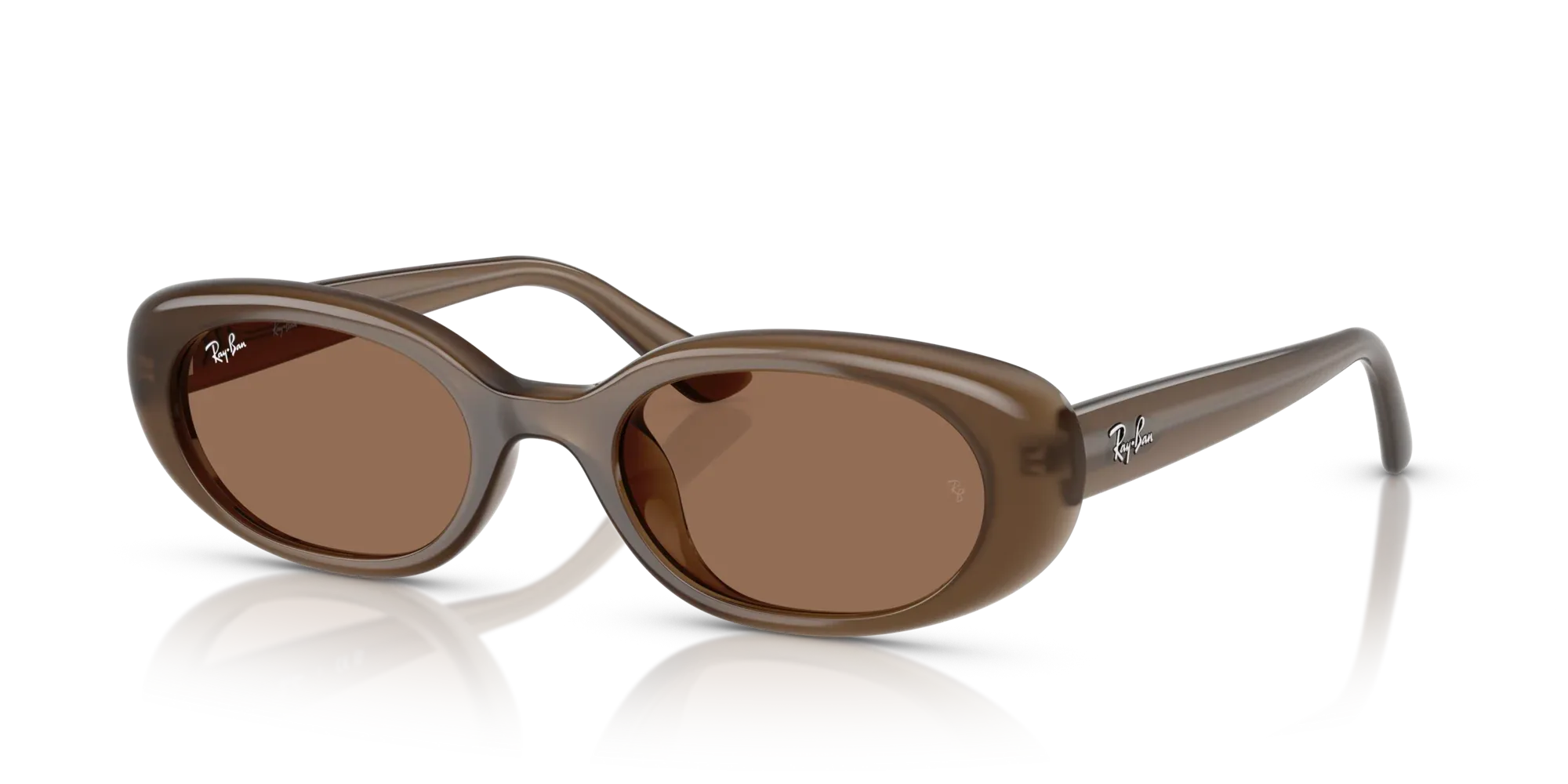 Occhiali da sole da donna Ray-Ban RB4441D 677973 - Marrone opale - Pistilleria