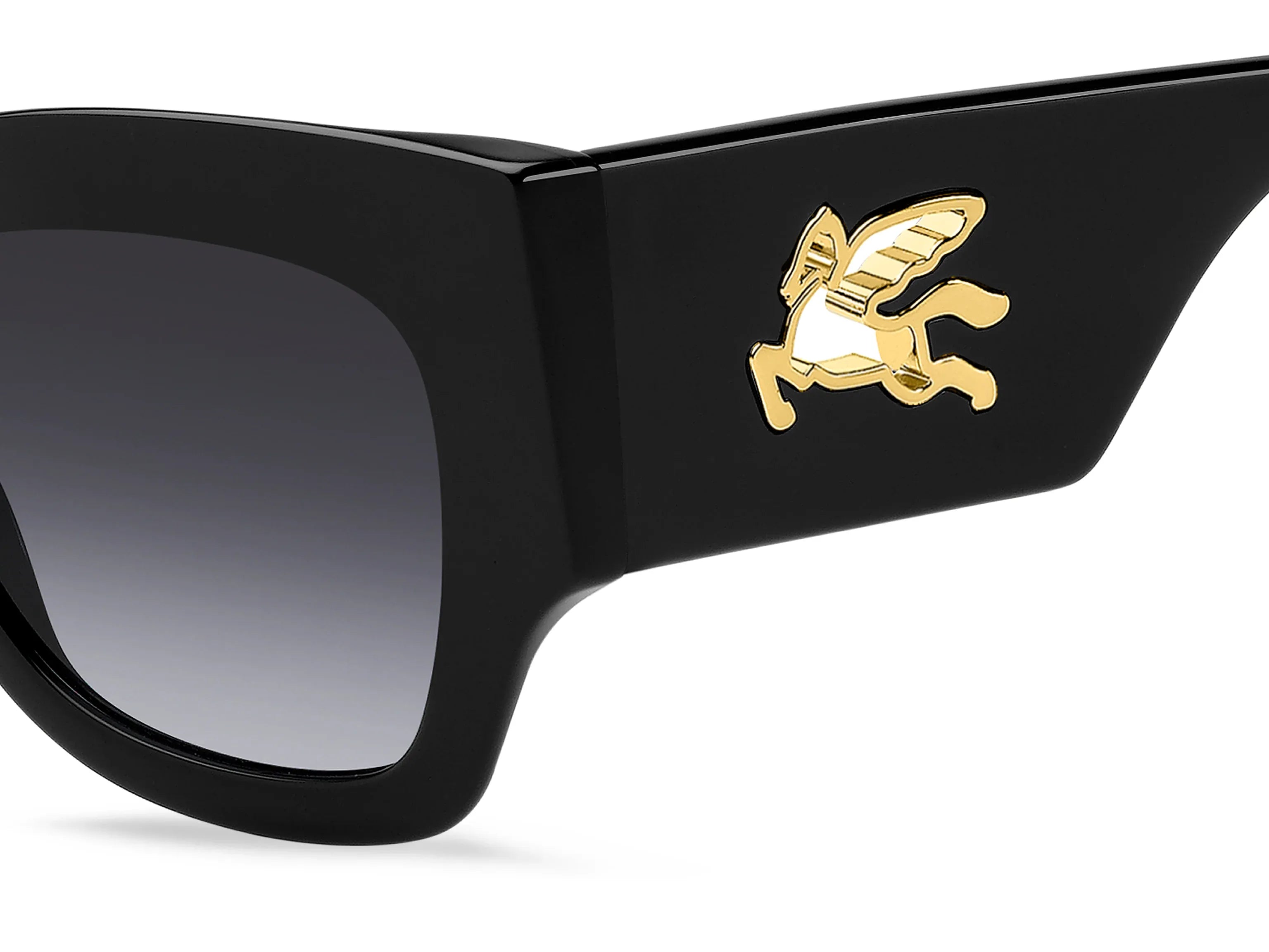 Occhiali da sole Etro 0076/S 807 - Pistilleria