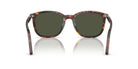 Occhiali da sole Persol PO3355S 24/31 - Pistilleria