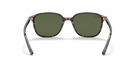 Occhiali da sole Ray-Ban RB2193 Leonard 902/31 Tartarugato - Pistilleria