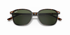 Occhiali da sole Ray-Ban RB2193 Leonard 902/31 Tartarugato - Pistilleria