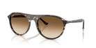 Occhiali da sole Ray-Ban RB2215 143151 Giallo havana tartarugato - Pistilleria