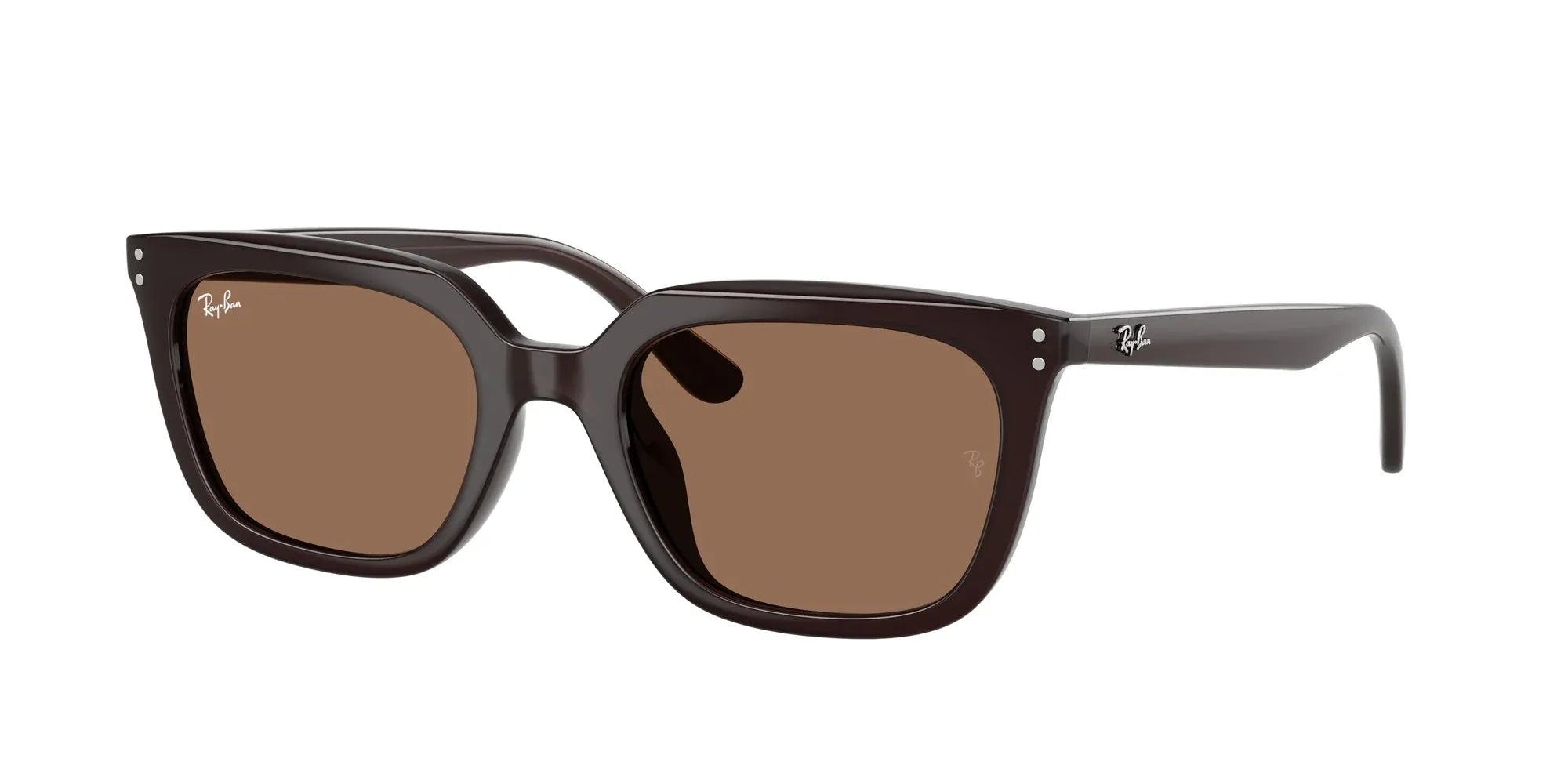 Occhiali da sole Ray-Ban RB4439D 623173 Marrone opale - Pistilleria