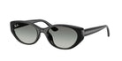 Occhiali da sole Ray-Ban RB4457D 6677/11 - Pistilleria
