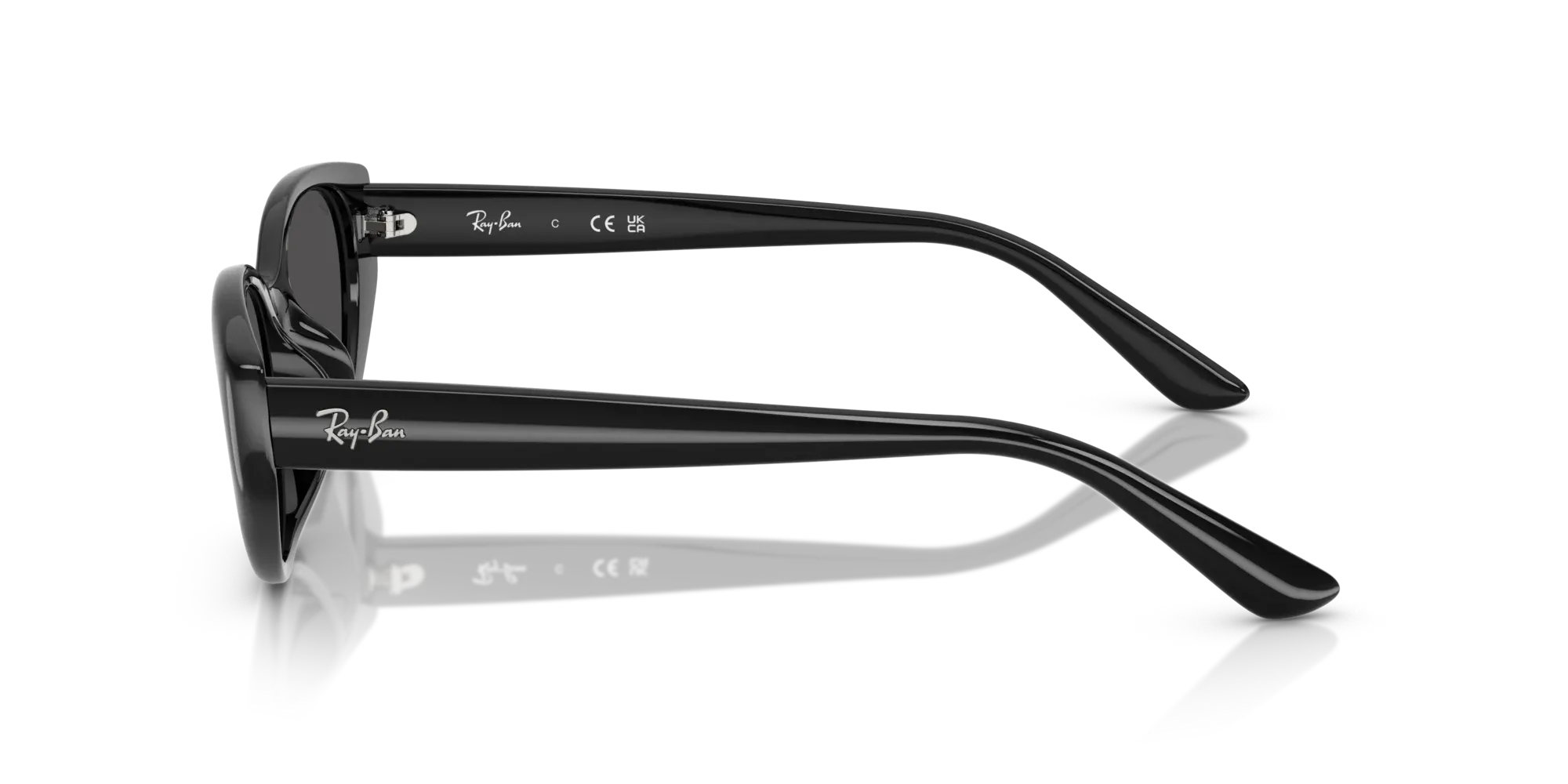 Occhiali da sole Ray-Ban RB4457D 667787 Nero - Pistilleria