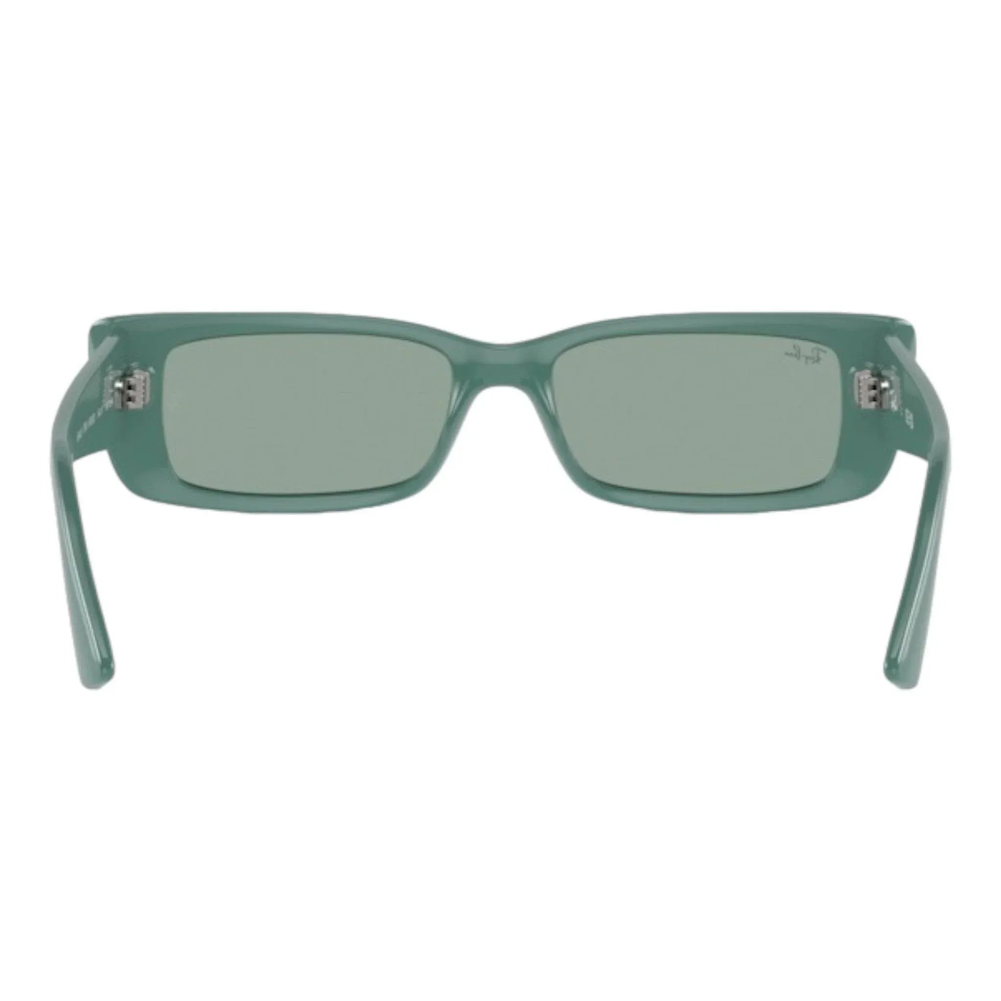 Occhiali da sole unisex Ray-Ban Teru RB4425 Algae Green - Pistilleria