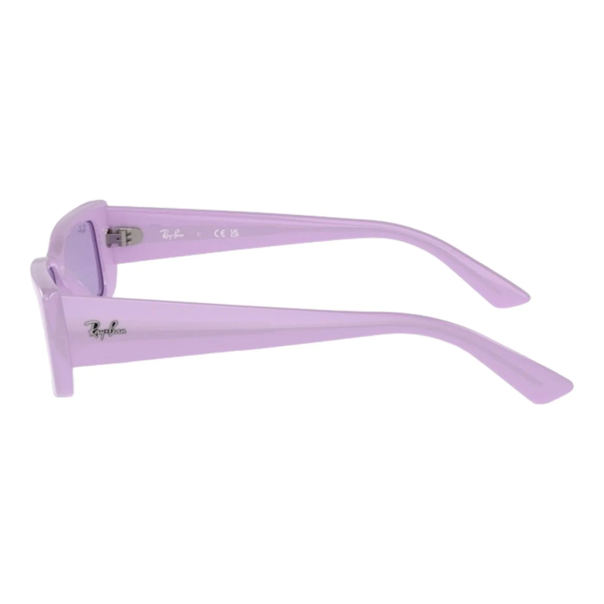 Occhiali da sole Unisex Ray-Ban Teru RB4425 Liliac - Pistilleria