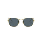 Ray-Ban Frank RB38579196R5 - Pistilleria