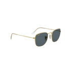 Ray-Ban Frank RB38579196R5 - Pistilleria