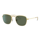 Ray-Ban Junior - RJ9557S 286/71 Junior Frank - Pistilleria
