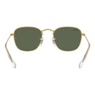 Ray-Ban Junior - RJ9557S 286/71 Junior Frank - Pistilleria