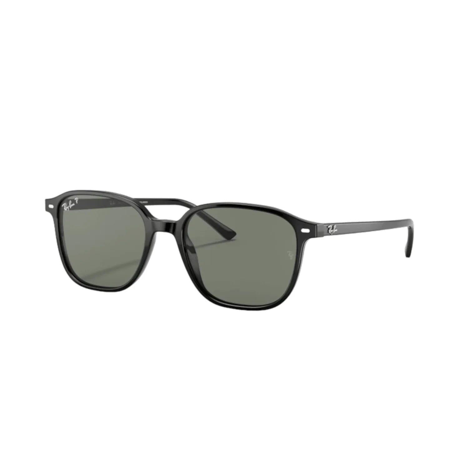 Ray-Ban Leonard RB2193 901/58 Polarizzato - Pistilleria