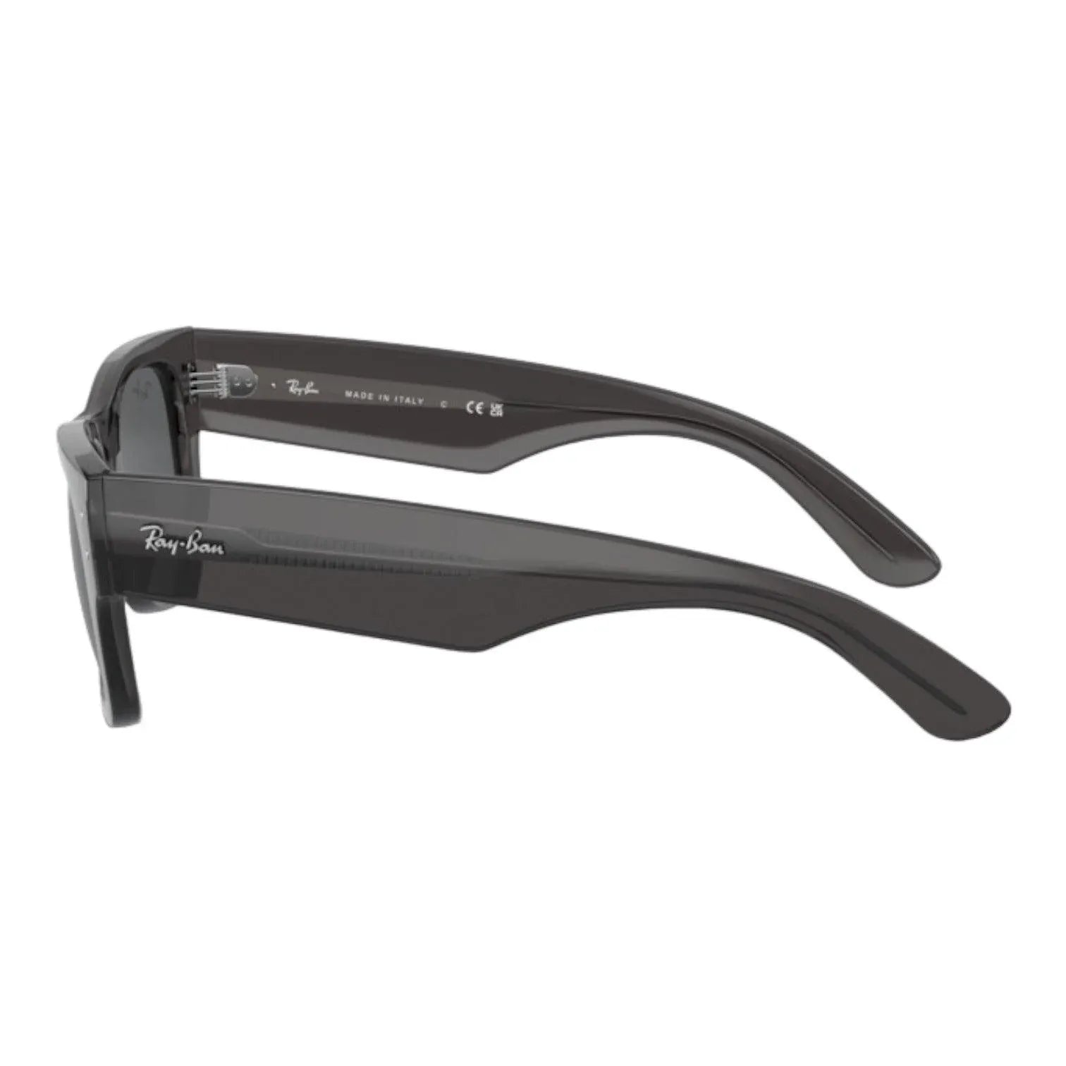 Ray-Ban Mega Wayfarer 0840S 1390/B1 - Pistilleria