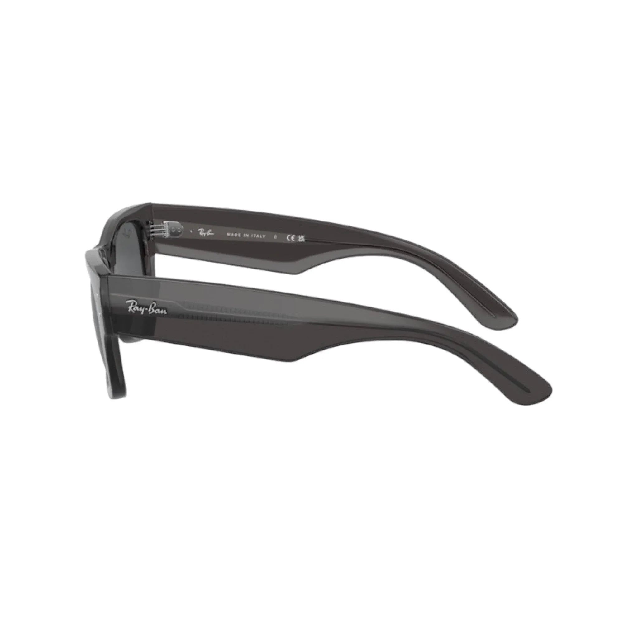 Ray-Ban - Mega Wayfarer RB0840S 1406/B1 - Pistilleria