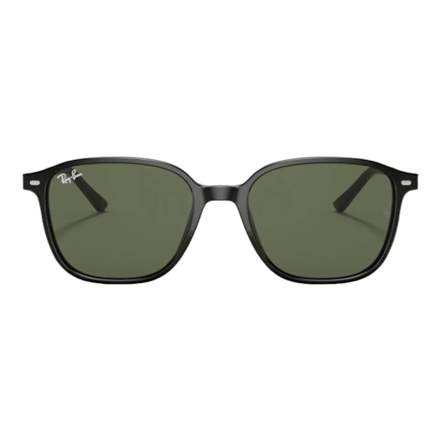 Ray-Ban RB2193 Leonard- 901/31 - Pistilleria