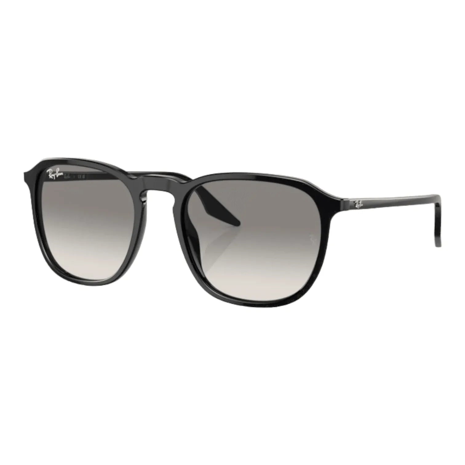 Ray-Ban RB2203- 901/32 - Pistilleria