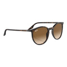 Ray-Ban RB2204 - 902/51 - Pistilleria