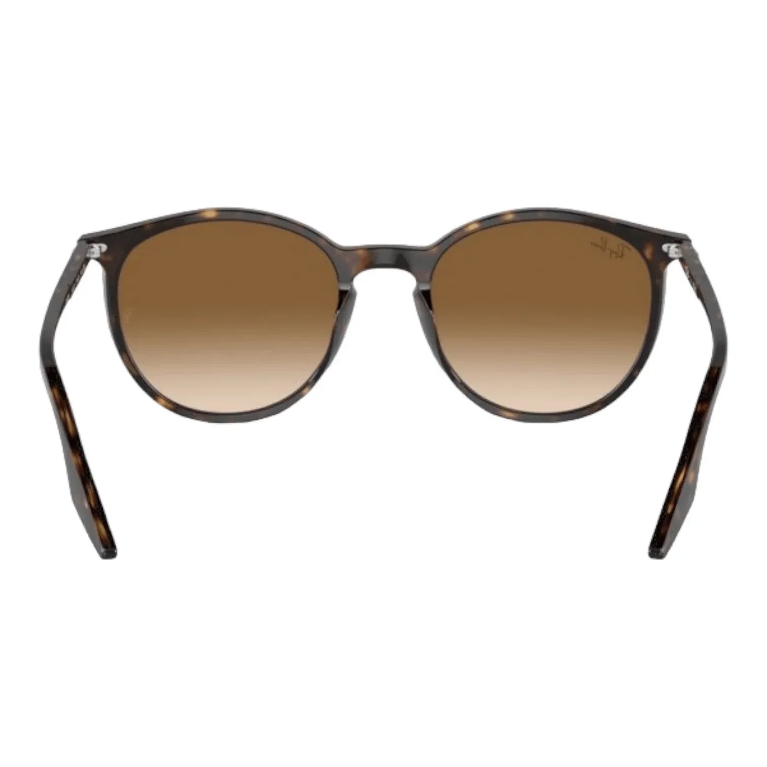Ray-Ban RB2204 - 902/51 - Pistilleria