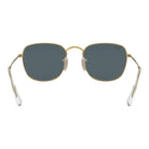 Ray-Ban - RB3857 Frank - Pistilleria