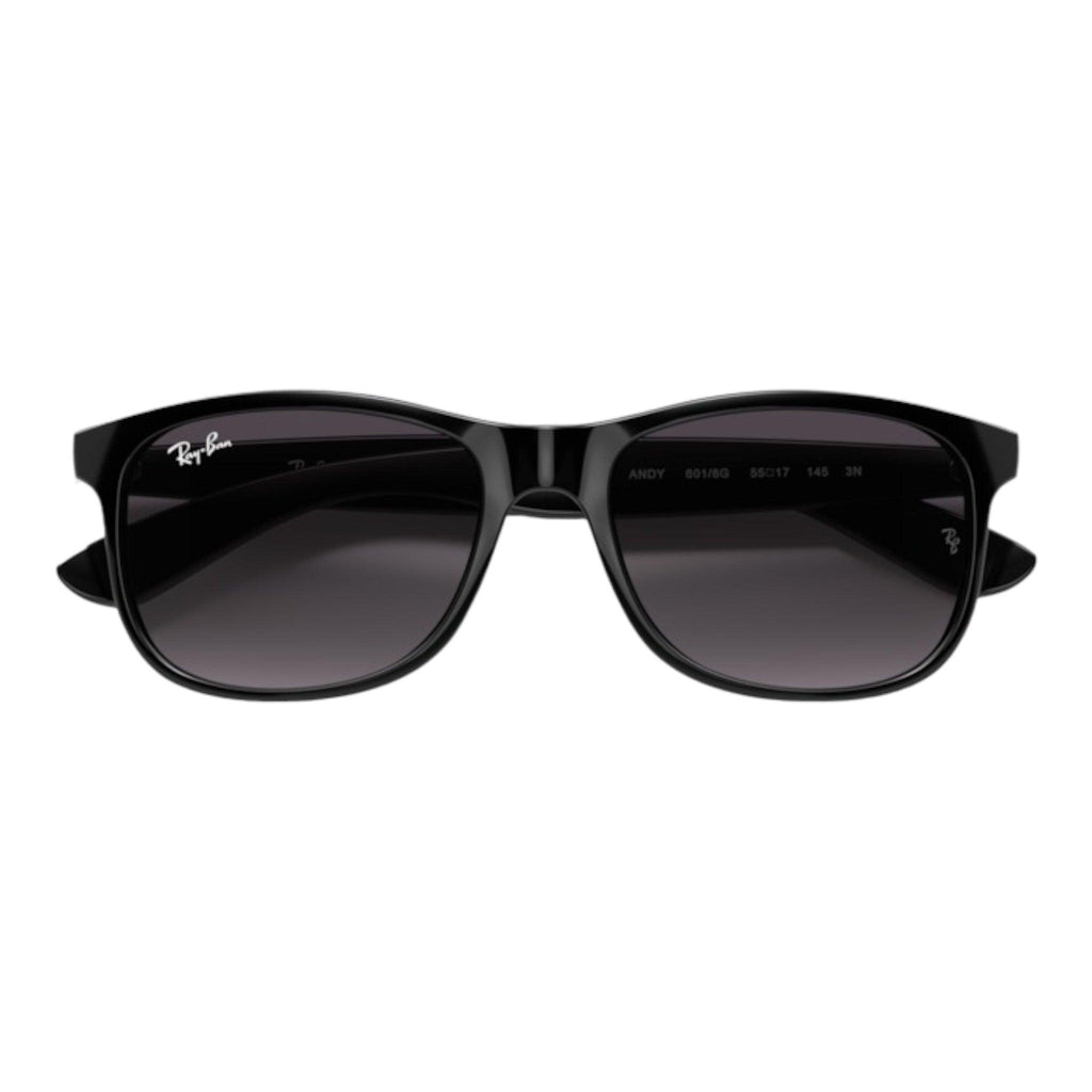 Ray-Ban - RB4202 Andy - Pistilleria
