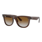 Ray-Ban Wayfarer Reverse RB R0502S- 6709CB - Pistilleria