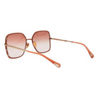 Chloé CH0143S - 003 - Pistilleria