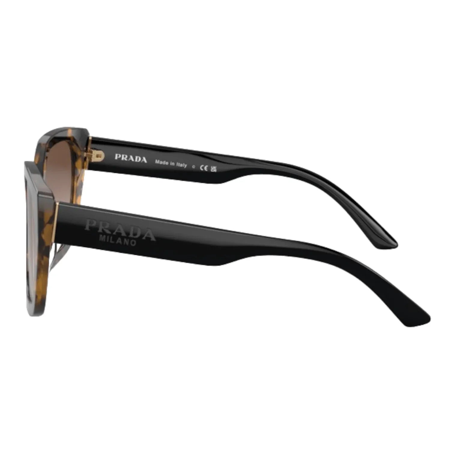 Prada Eyewear PR 24XS- VAU6S1 - Pistilleria