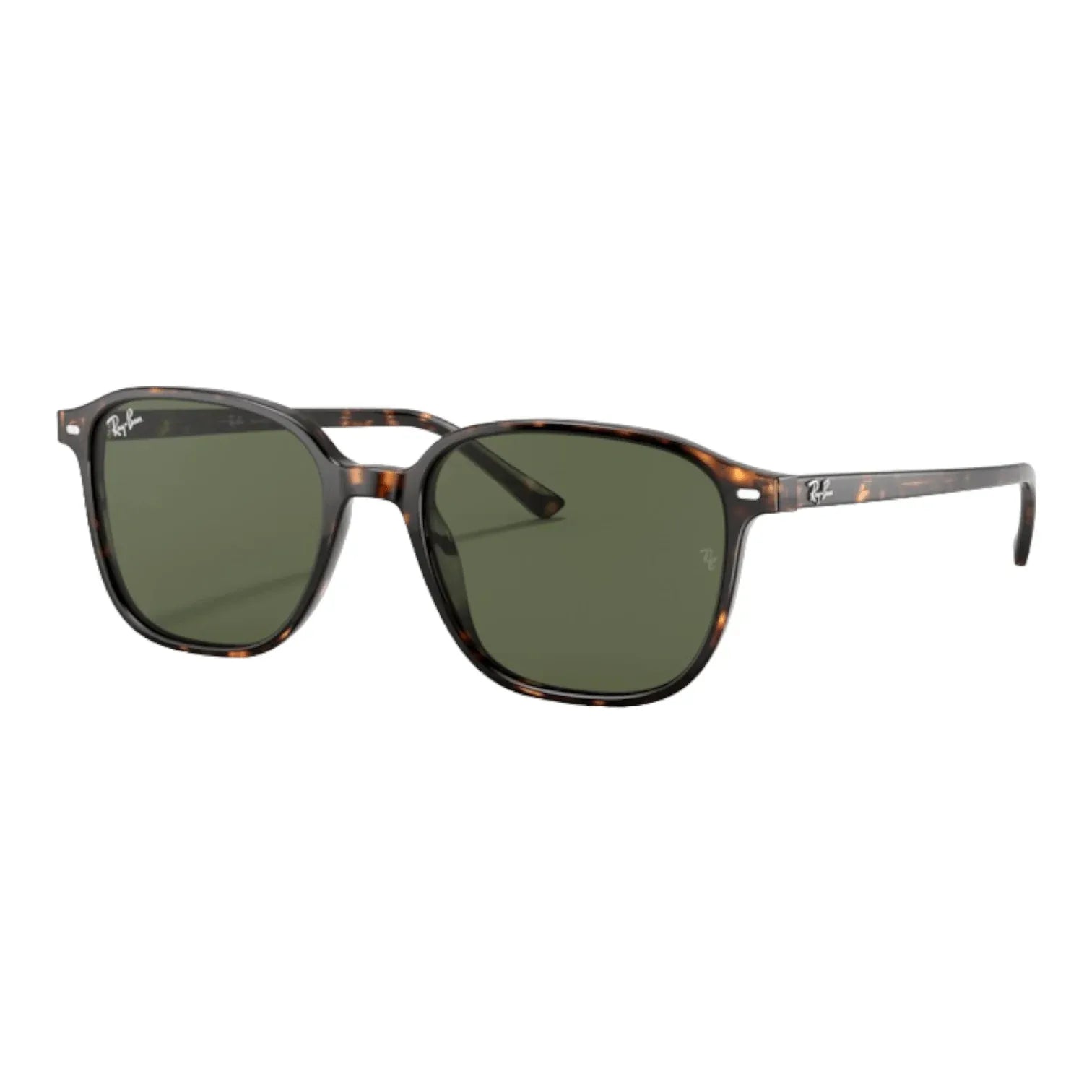 Ray-Ban RB 2193 Leonard- 902/31 - Pistilleria